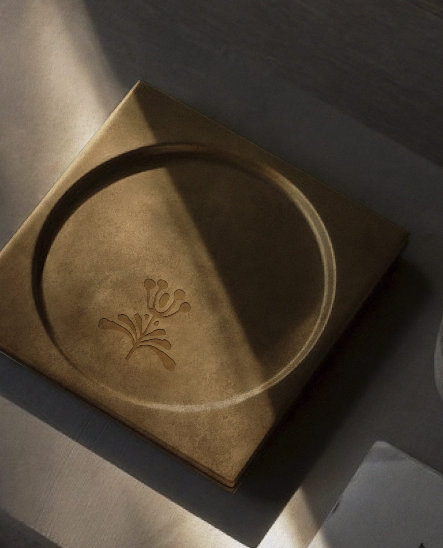 Lacasona coaster
