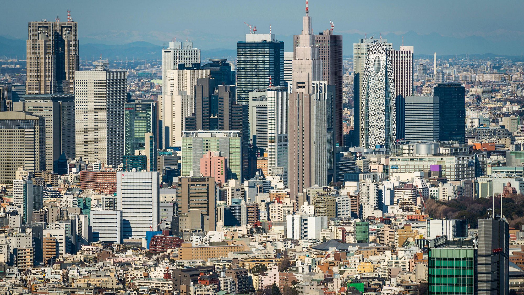 Kimpton tokyo 6145441943 55x31